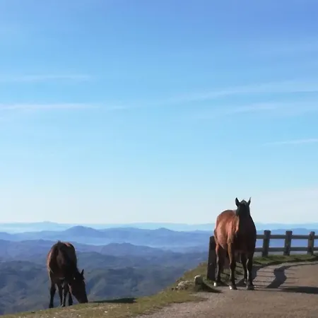 Casa de Férias Ca Piero Mit Pool Bis 12 Personen Urbino